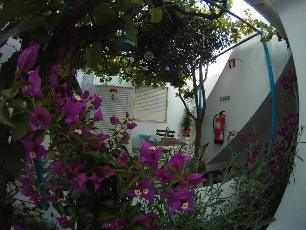 Ahoy Porto Covo Hostel Exterior foto